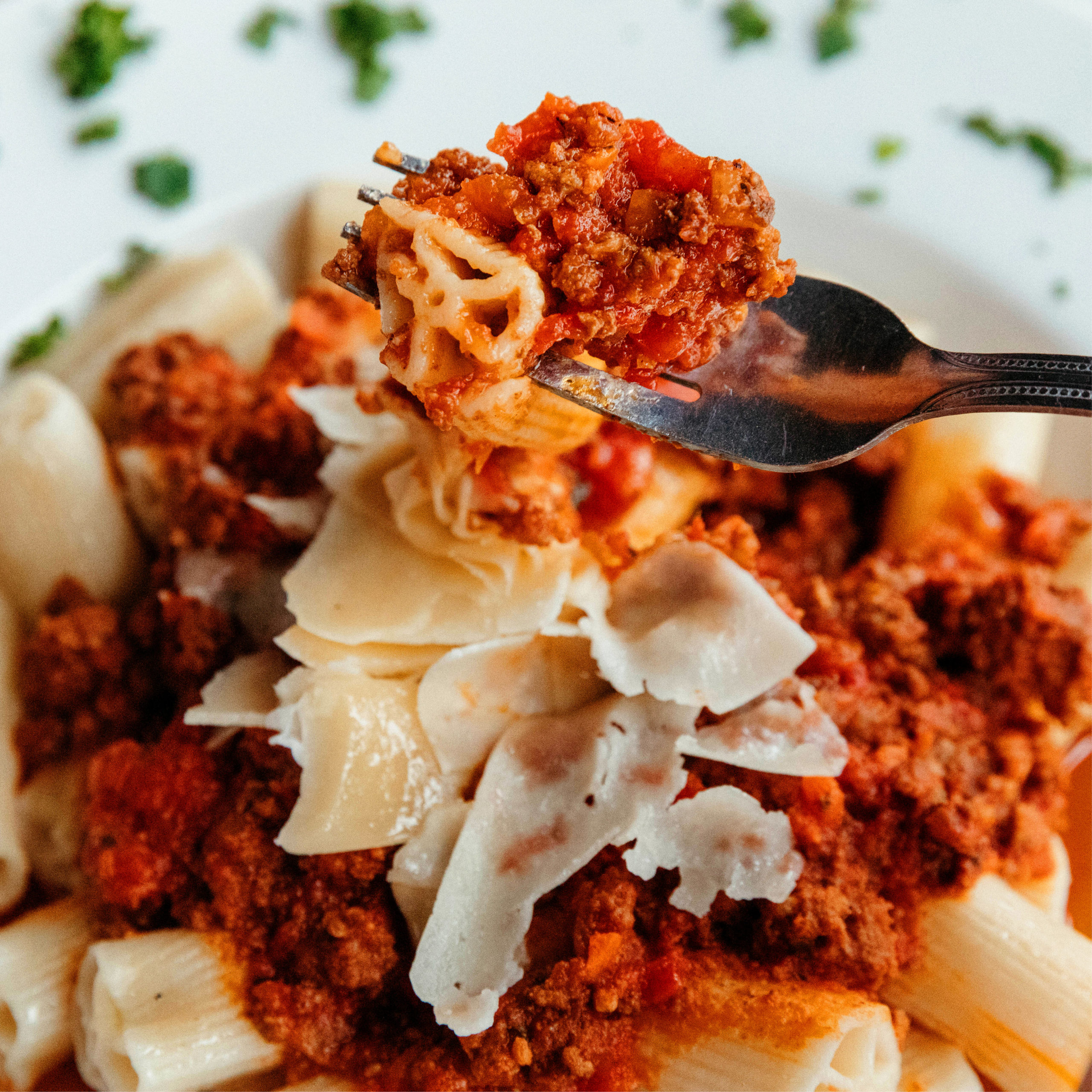 bolognese